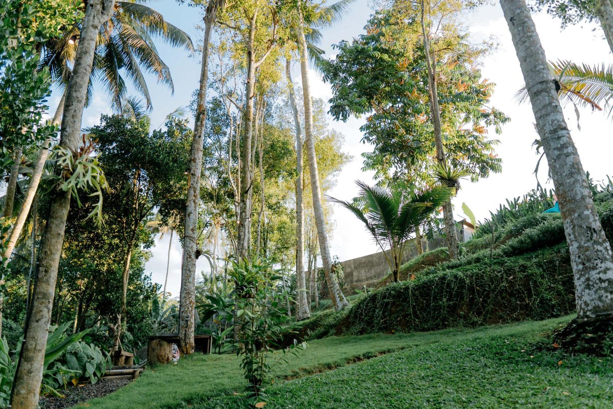 Bali Made Escape Hotel Payangan Kültér fotó